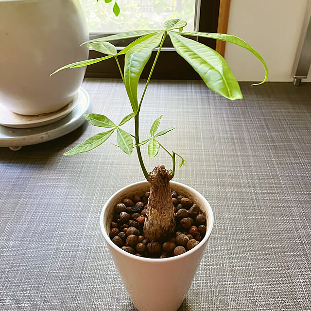 akanekoさんの部屋
