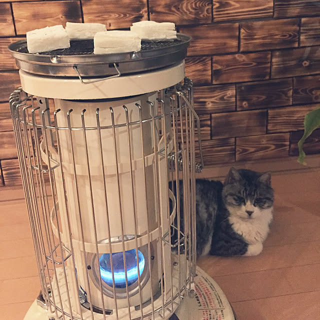 kaiwaさんの実例写真