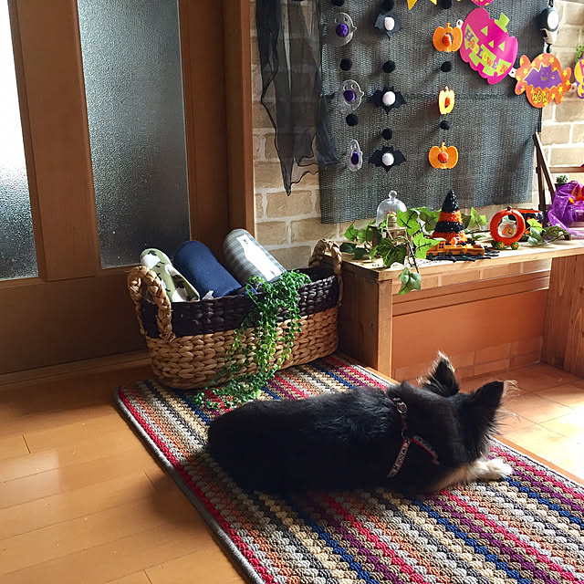 yokochinさんの実例写真