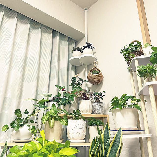 yoyoyoさんの実例写真