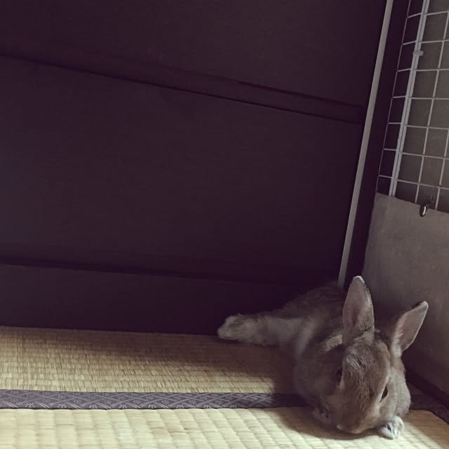 sakuusaさんの実例写真
