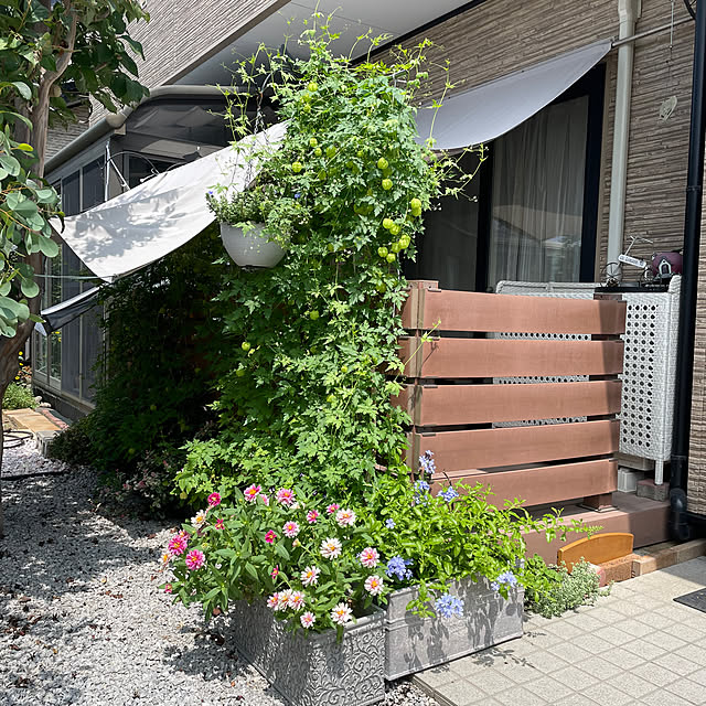 ronronさんの部屋