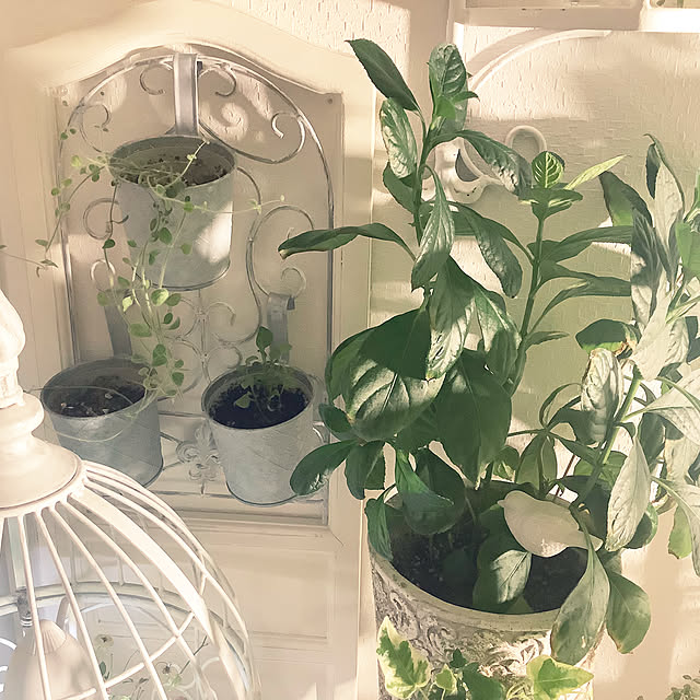 souyaさんの部屋