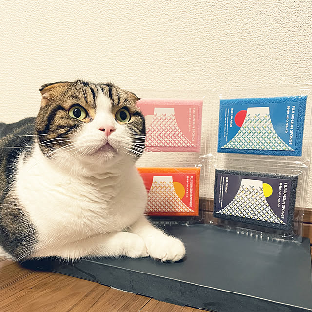 tansukeさんの実例写真
