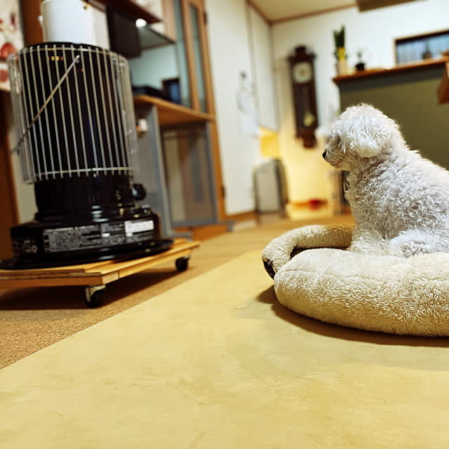 fryxt080さんの実例写真