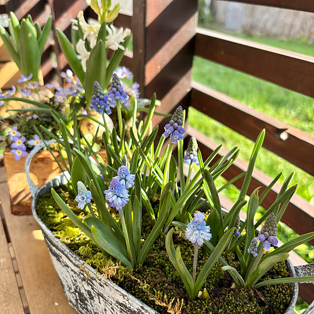 kyoko1124koさんの部屋