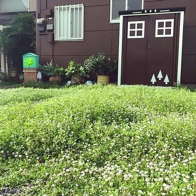 oyoさんの実例写真