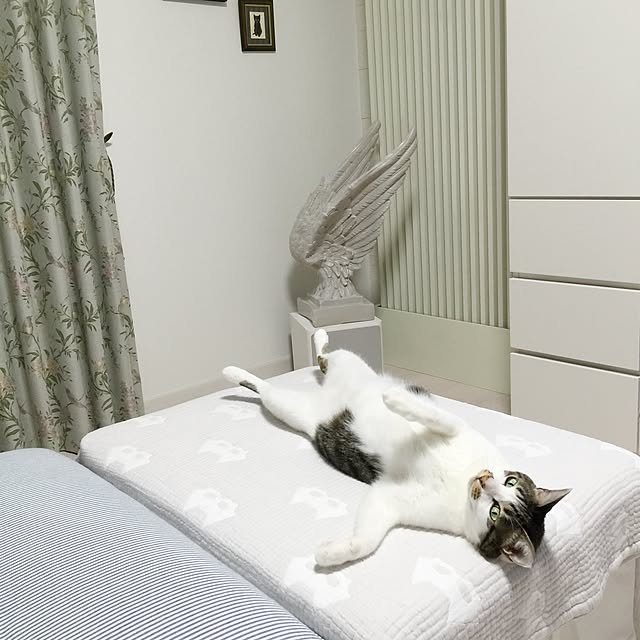 yuchiさんの実例写真