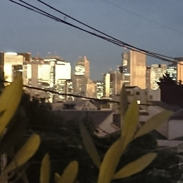 bonobono54さんの実例写真