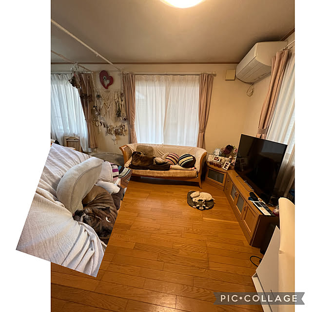 chi_gogaさんの実例写真