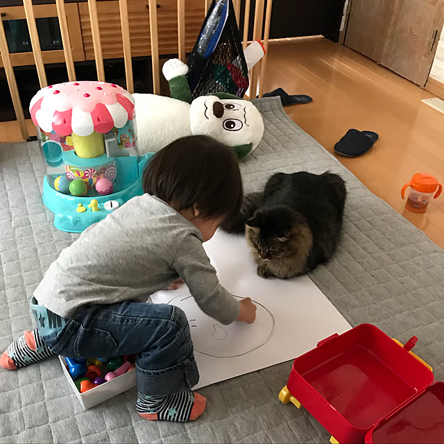 yuki0511さんの実例写真