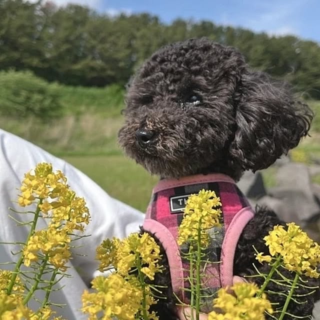 mmyrsさんの部屋
