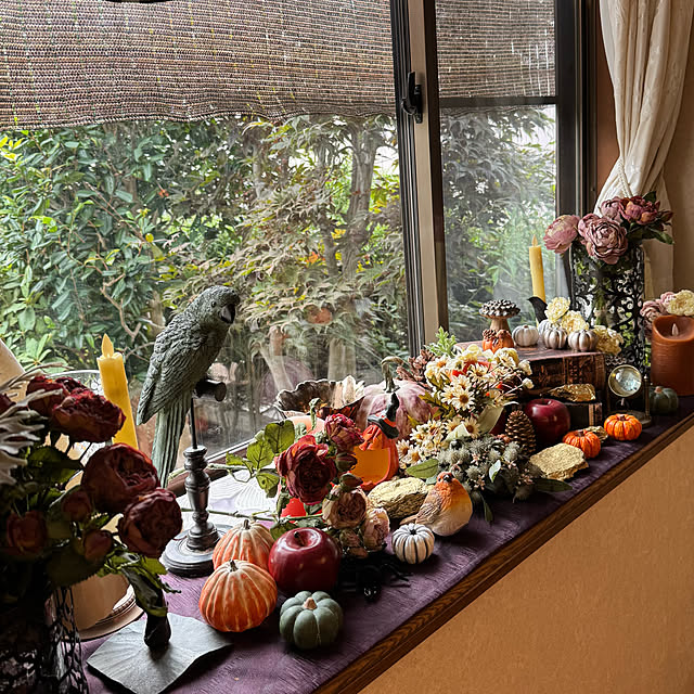 mamizaさんの部屋