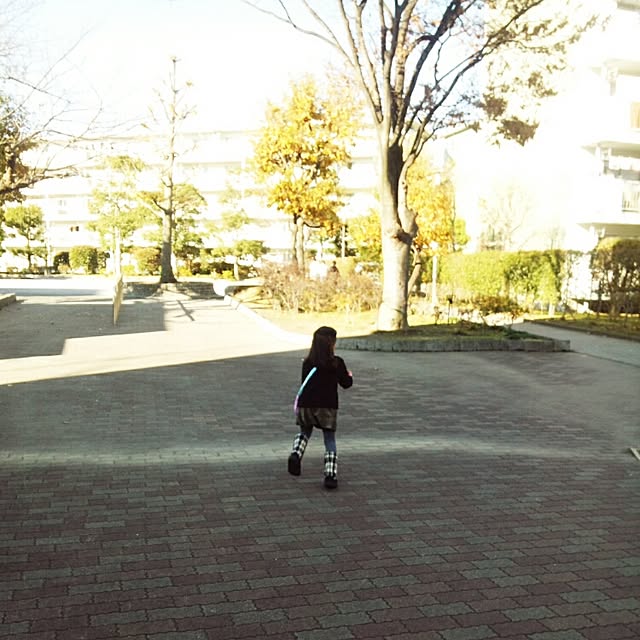 実例写真