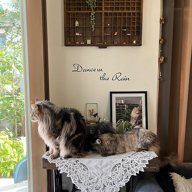 mayumiさんの部屋