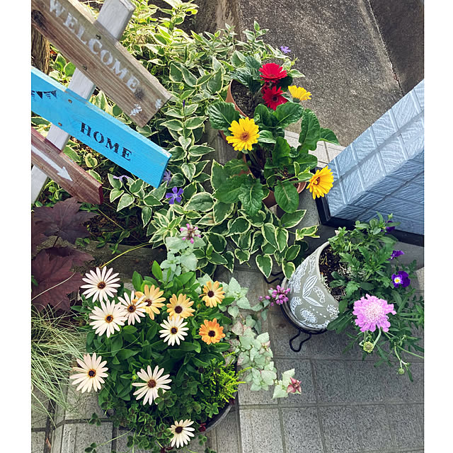 CoCo0617さんの部屋