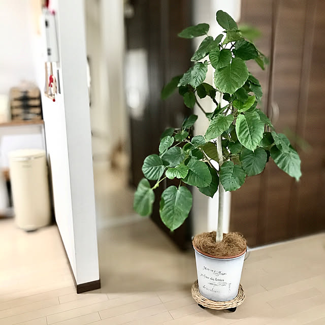 mizuさんの実例写真