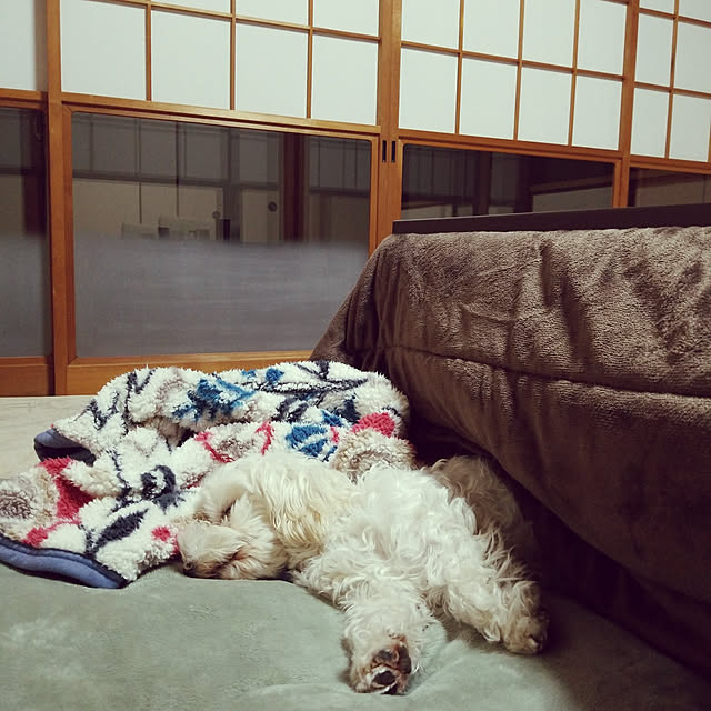 mimoさんの実例写真