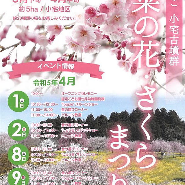satomi1004さんの部屋