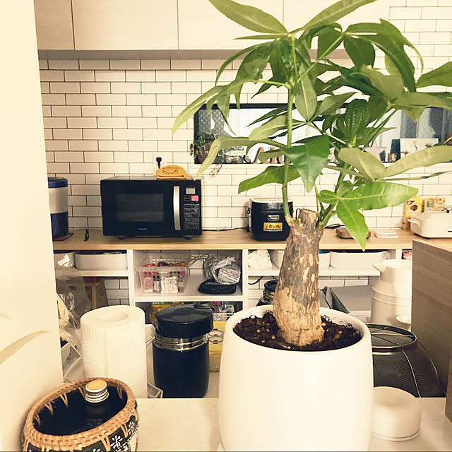 Pecoさんの実例写真