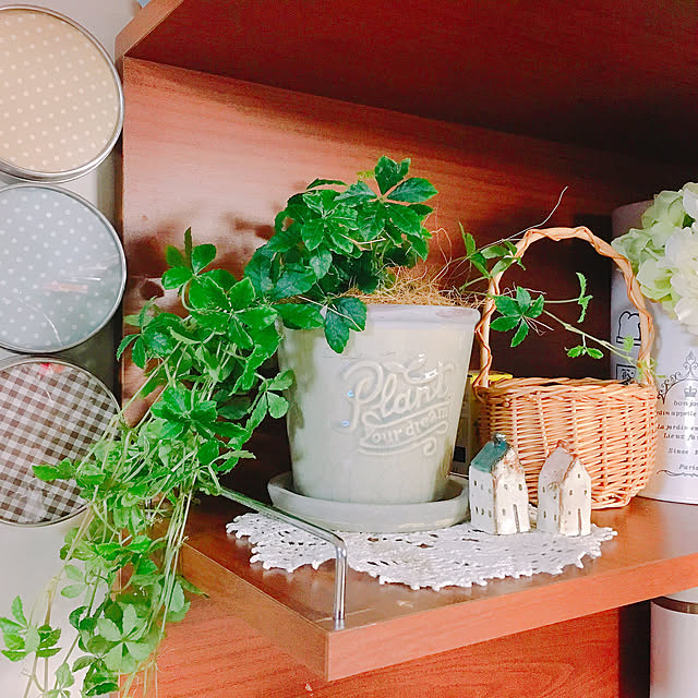 cocomaroさんの実例写真