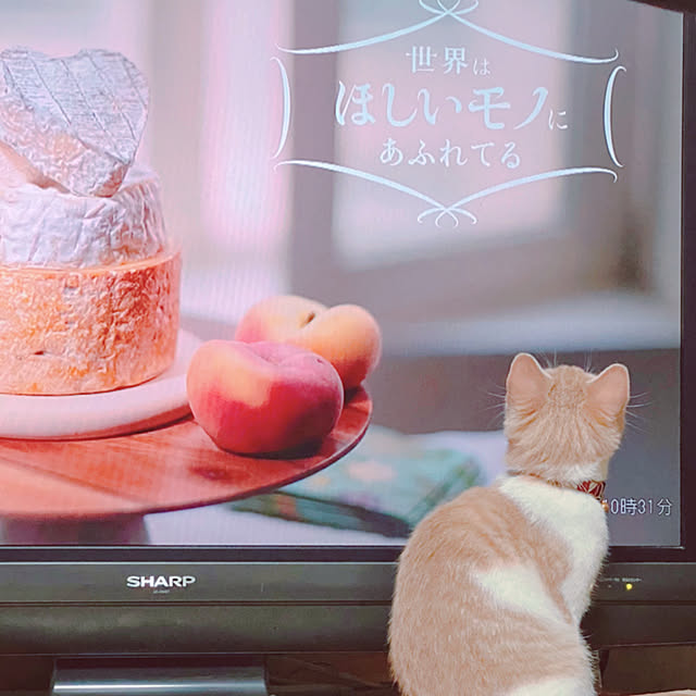 mintteaさんの実例写真