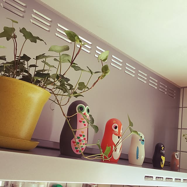 kokeshiさんの実例写真