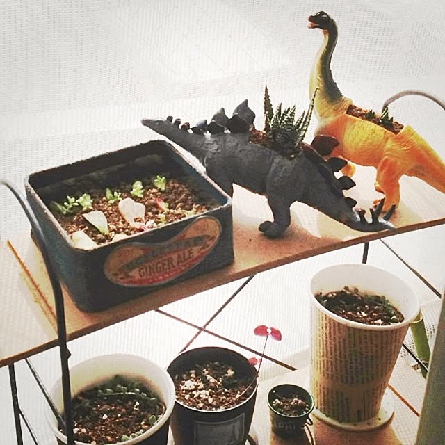 pasenさんの実例写真