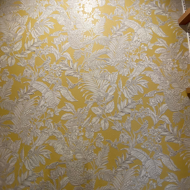 PAOさんの部屋