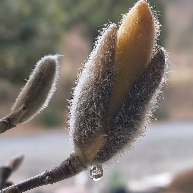 Rubiconさんの部屋