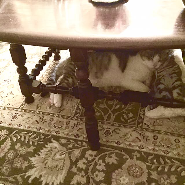 emmyyさんの実例写真