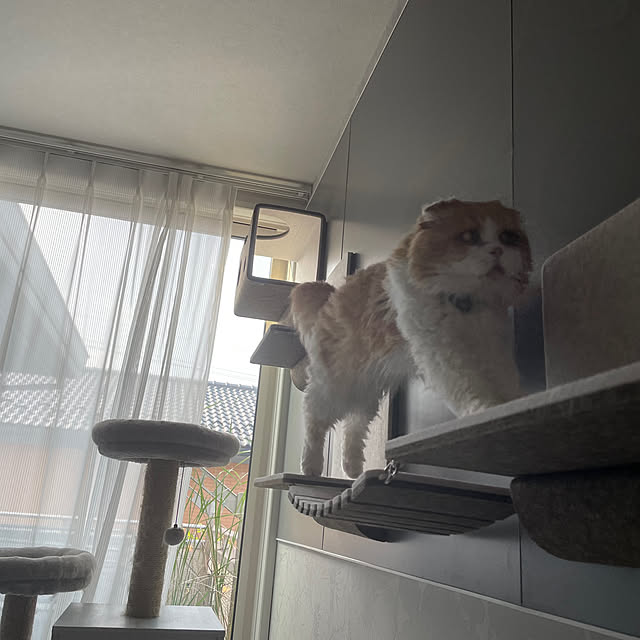 chachaharuloveさんの部屋