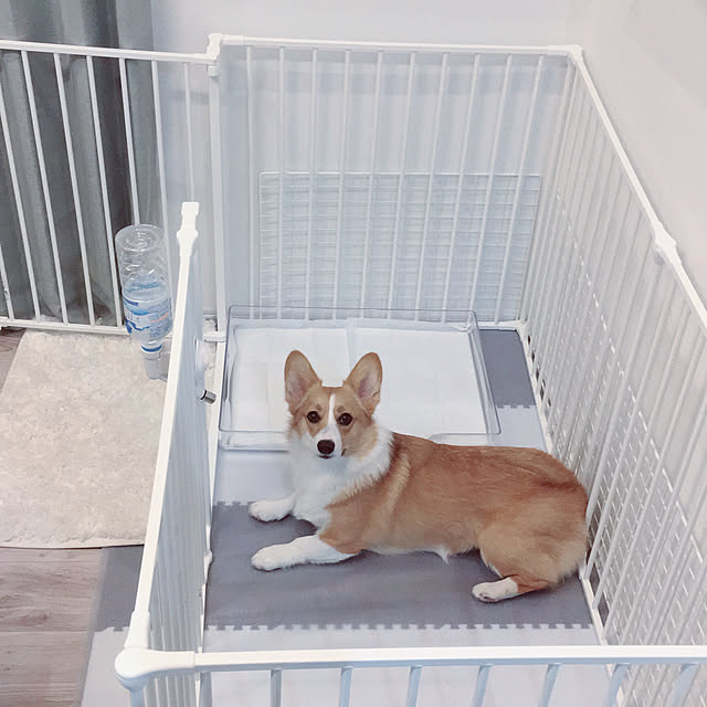 3ayuさんの実例写真