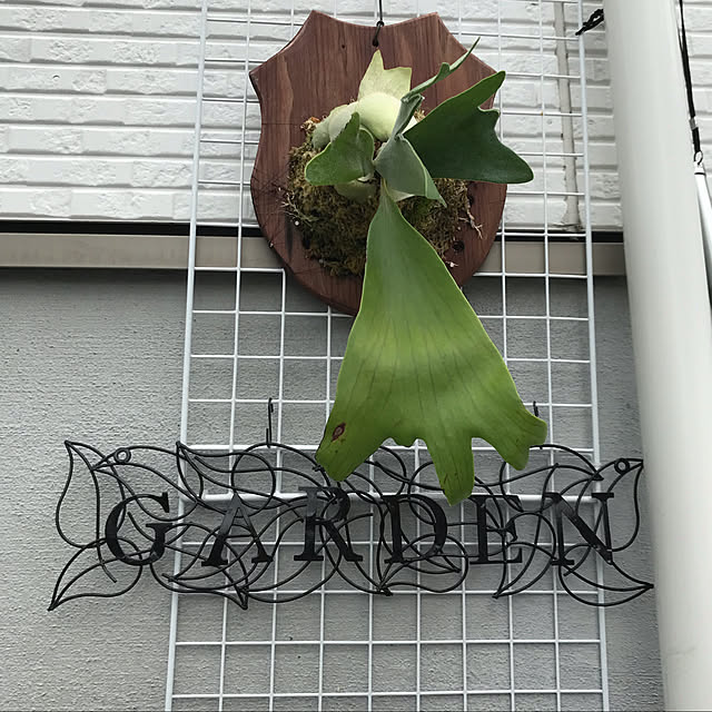 MIUさんの実例写真