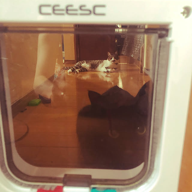 jijiさんの実例写真