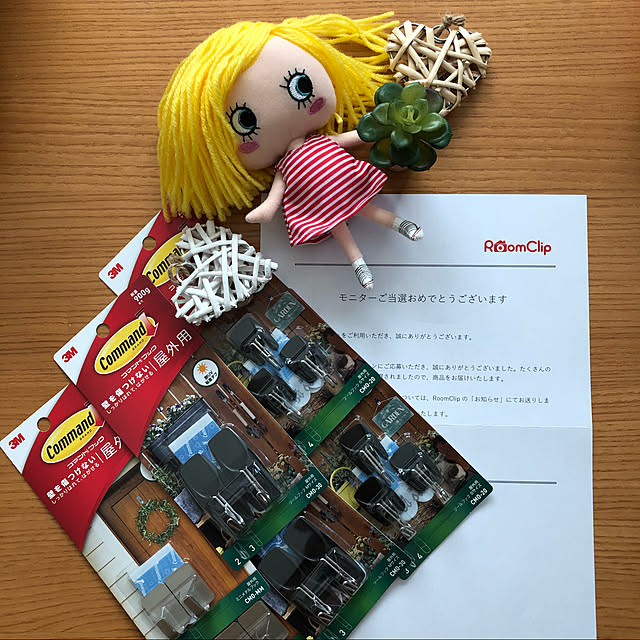 loliontoaliceveさんの実例写真