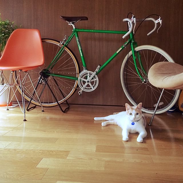k.0316さんの実例写真