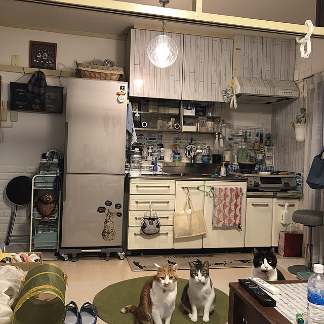 mikenekoさんの実例写真