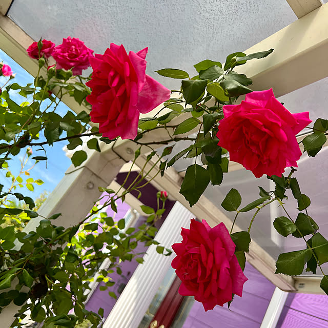 AYUKOさんの実例写真