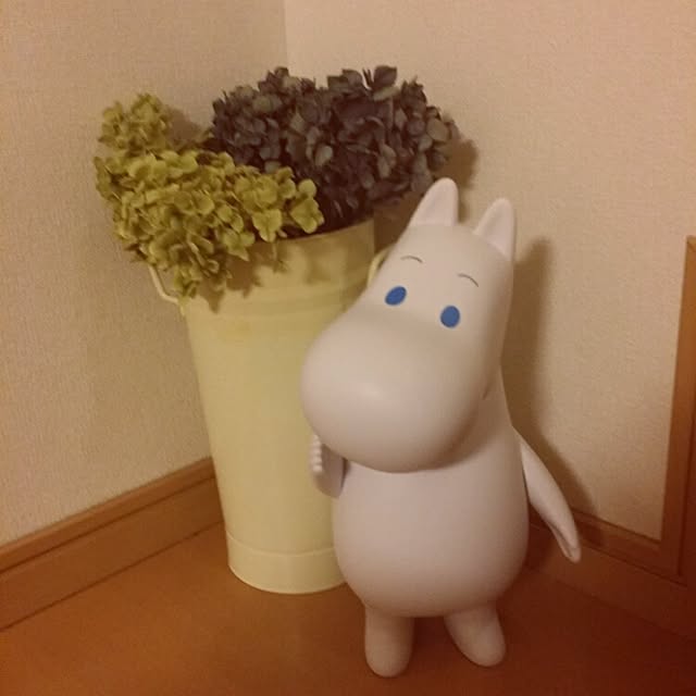 viviさんの実例写真