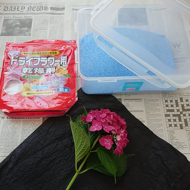 hinasaさんの実例写真