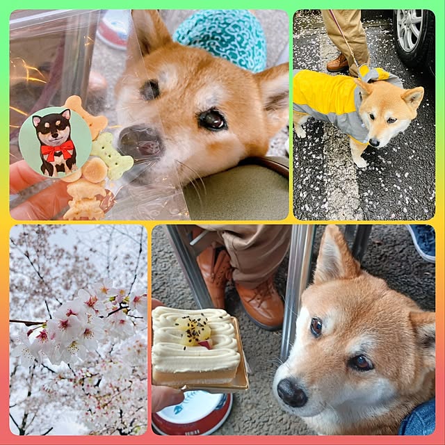 nanaさんの部屋