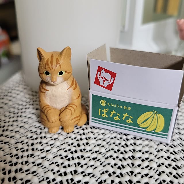 akimameさんの部屋
