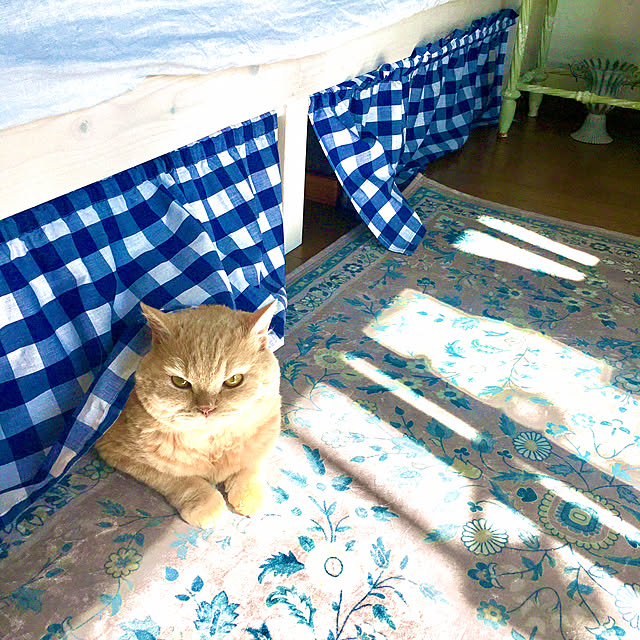 naokoさんの実例写真
