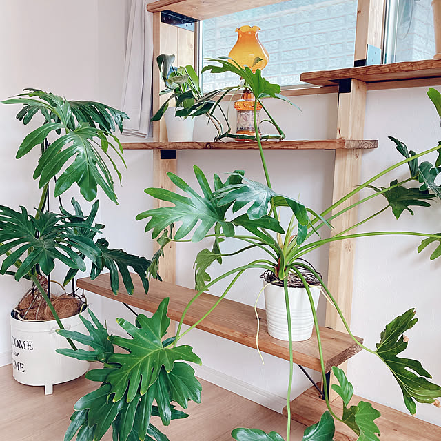 mimi-kさんの部屋