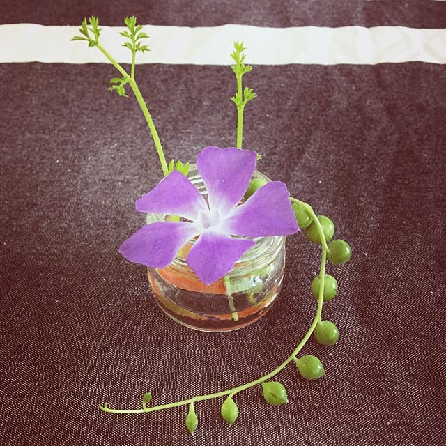RINRINさんの実例写真
