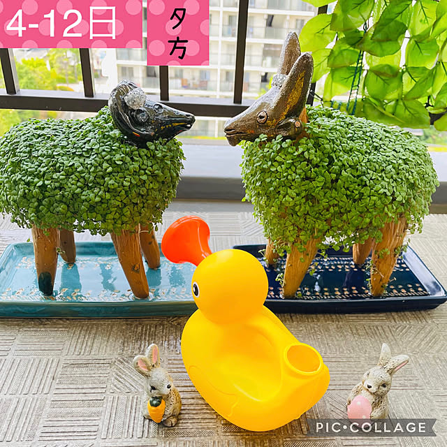 aureaさんの実例写真
