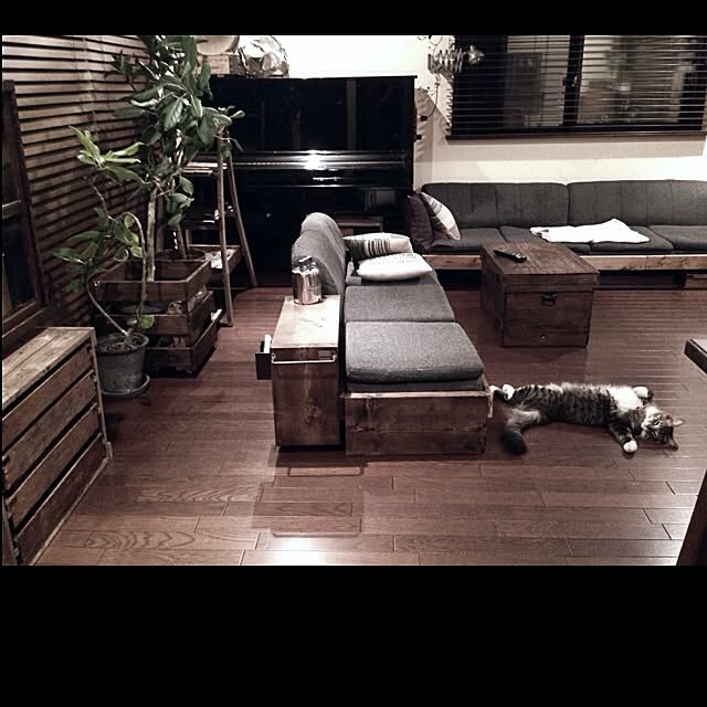 jnkaiさんの実例写真