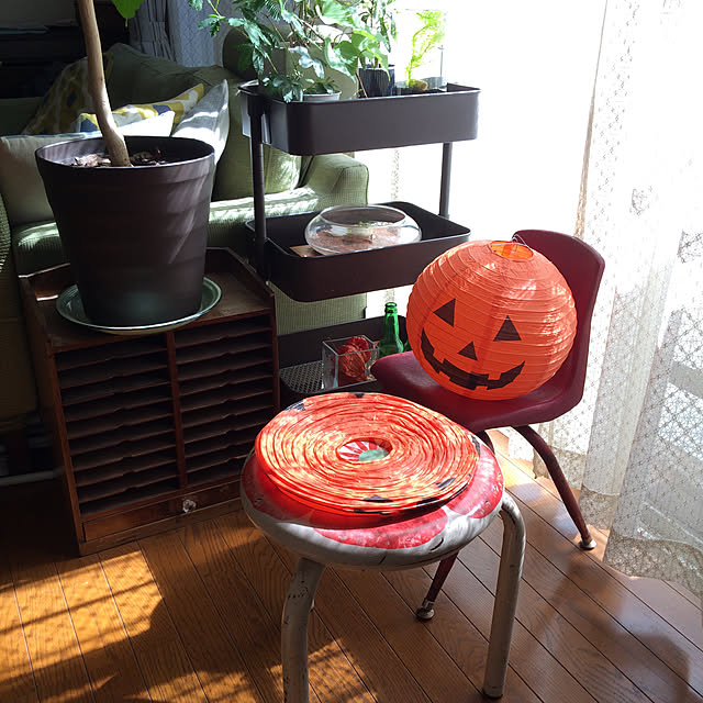 soramameさんの実例写真