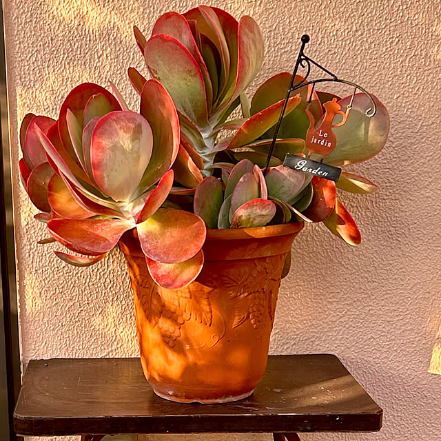 juncocoさんの実例写真